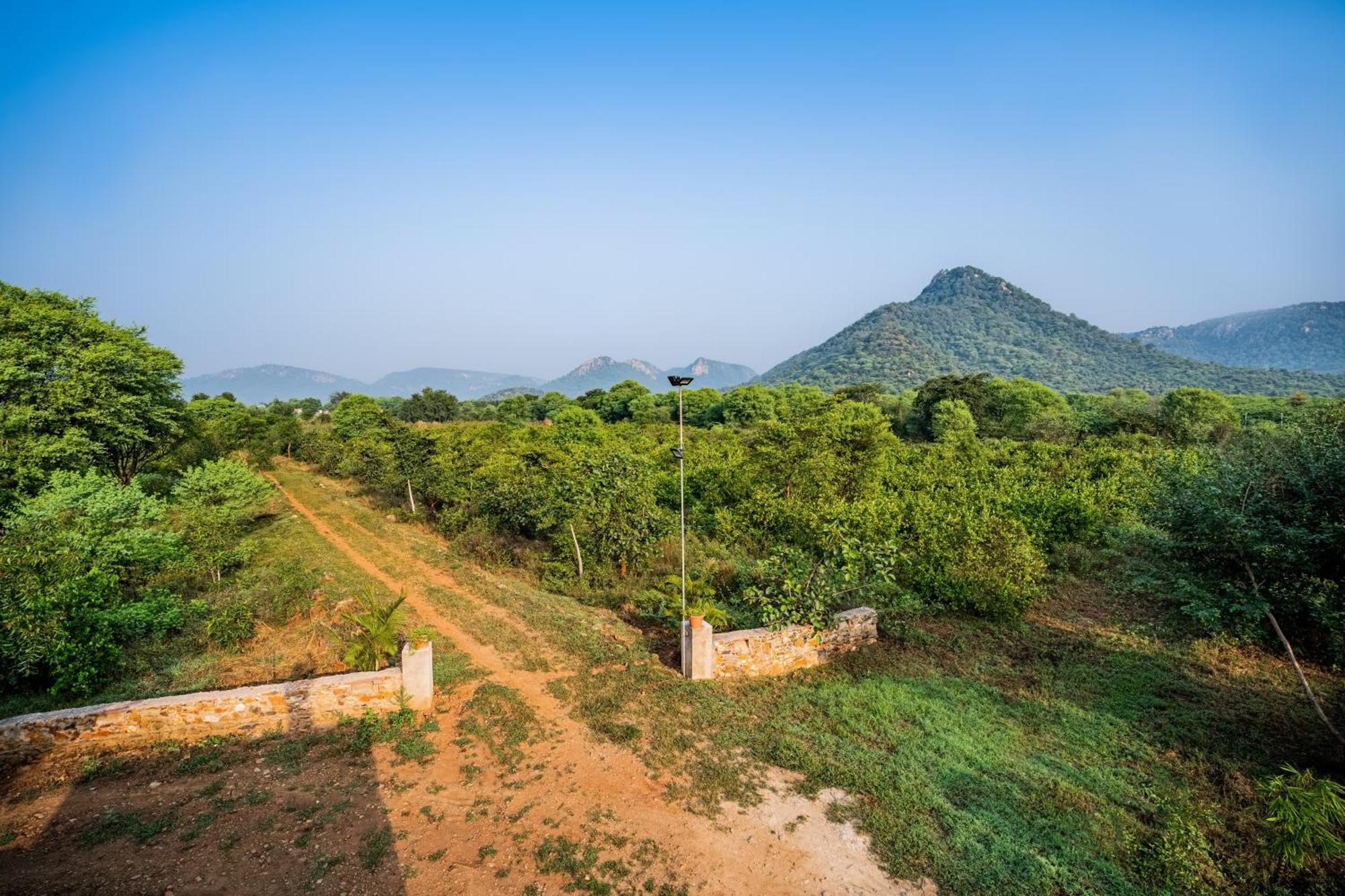 Guldaar Sariska - A Luxury Forest Resort Tehla المظهر الخارجي الصورة